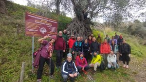 Πεζοπορία στα περίχωρα της Σφάκας 