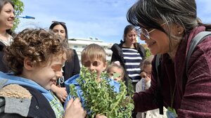 Μοσχοβόλησε … Κρήτη η πλατεία του Αγίου Γεωργίου "Πεταλιώτη"