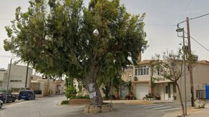 Γεύσεις παράδοσης την Μεγάλη Πέμπτη στο Σγουροκεφάλι