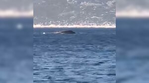 Βίντεο από το σκάφος της Frontex που βυθίστηκε στο Καστελλόριζο