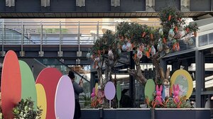 Πασχαλινή ατμόσφαιρα στο Talos Plaza - Ανοιξιάτικο το σκηνικό στο εμπορικό κέντρο!