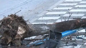 Θεσσαλονίκη: Η στιγμή της θανατηφόρας παράσυρσης του 25χρονου πεζού στην Πολίχνη