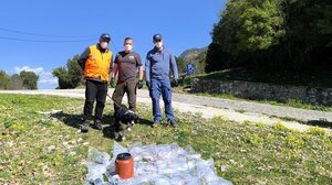 Ποιοι σκοτώνουν την πανίδα στον Γράμμο και την Δαδιά του Έβρου;