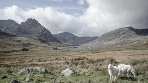 Το Γεωπάρκο Ψηλορείτη στο επίκεντρο του διαλόγου για τον γεωτουρισμό