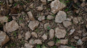 Τον βρήκε νεκρό ο γείτονας του στο χωράφι