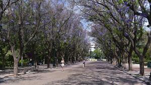 Σχεδόν αίθριος καιρός στη χώρα - Πρόσκαιρες νεφώσεις στην Κρήτη