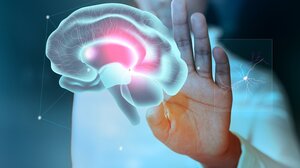 Γιατί ξεχνάει ο εγκέφαλος;