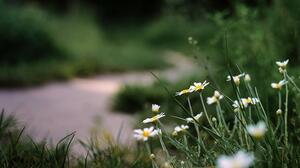 Καιρική αστάθεια μετά την Πρωτομαγιά – Τι "βλέπει" ο Θοδωρής Κολυδάς