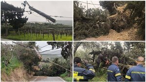 Ηράκλειο: Τεράστιο δέντρο έπεσε από τους θυελλώδεις ανέμους πάνω σε κολώνα της ΔΕΗ 