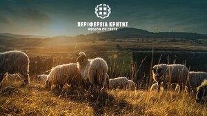  Ευλογιά των αιγοπροβάτων στην Κρήτη: Παρατείνονται τα προληπτικά μέτρα