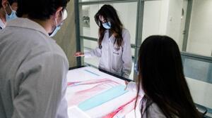 Σπουδές Ιατρικής με διεθνείς προδιαγραφές: Γιατί όλο και περισσότεροι Έλληνες επιλέγουν το Ευρωπαϊκό Πανεπιστήμιο Κύπρου