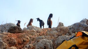 Φαράγγι Διπλοχάχαλο: Ώρα για περιπέτεια!