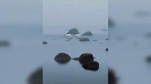 Φινλανδία: Ο μαγευτικός χορός στο ζευγάρωμα των κύκνων