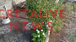 Πρωινή χαλαζόπτωση στο Βενεράτο - Βίντεο