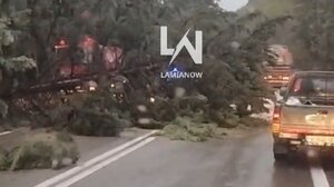 Έπεσαν δέντρα από την κακοκαιρία στον δρόμο Θερμοπυλών–Ιτέας στον Μπράλο