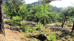 Κυριακάτικη πεζοπορία στον Κρούστα και το Καθαρό 