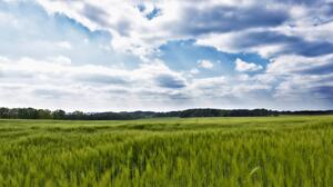 Οροπέδιο Λασιθίου: Ανοιχτή εκδήλωση με προβολή ντοκιμαντέρ για την αναγέννηση της γης