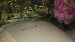 "Συμφωνία της Ομορφιάς"