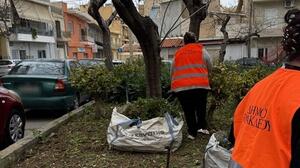 Ηράκλειο: Συνεχίζονται οι παρεμβάσεις συντήρησης και καλλωπισμού του πρασίνου