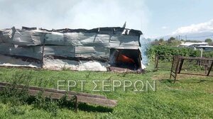 Σέρρες: Κάηκε ολοσχερώς κτηνοτροφική μονάδα με πρόβατα