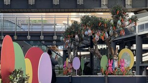 Πασχαλινή ατμόσφαιρα στο Talos Plaza! Ο πιο καθαρός και εύκολα προσβάσιμος προορισμός της πόλης!