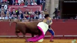 Ισπανία: Τρομακτικός τραυματισμός του «βασιλιά των ταυρομάχων» - Βίντεο 