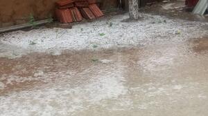 "Έστρωσε" χαλάζι στο Δομοκό - Μεγάλες ζημιές σε καλλιέργειες!