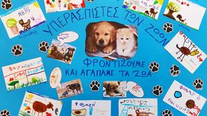 Ολοκληρώθηκε η ενημερωτική δράση του Δήμου Πλατανιά για τα αδέσποτα ζώα