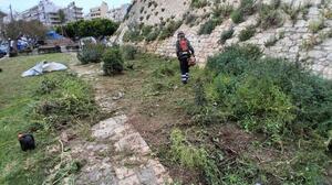 Συνεχίζονται οι εργασίες συντήρησης και καλλωπισμού στα Ενετικά Τείχη