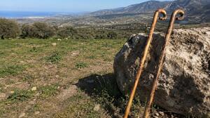 Επίθεση με κατσούνες σε μηχανικούς που πήγαν να μετρήσουν έκταση 