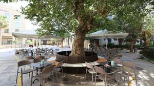 Ο Ιωάννης Ατέσογλου στο Café - Restaurant «Πλάτανος»