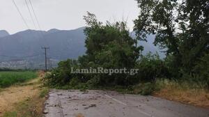 Λαμία: Μεγάλες ζημιές από την κακοκαιρία