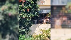 H Νέα Αριστερά Ηρακλείου για τις μεταναστευτικές ροές