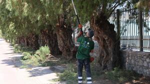 Ηράκλειο: Συνεχίζονται οι εργασίες συντήρησης και καλλωπισμού του πρασίνου