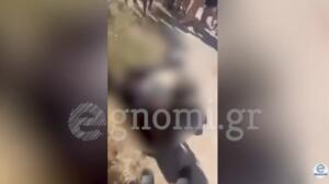 Εύβοια: Άγριο ξύλο ανάμεσα σε δύο μαθήτριες Γυμνασίου
