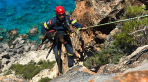 Zάκυνθος: Η Πυροσβεστική έσωσε σκύλο που έπεσε σε γκρεμό παραλίας - Δείτε βίντεο