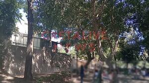 Πάρκο Γεωργιάδη: Η κατεδάφιση του παραπήγματος και οι κίνδυνοι για την υγεία!