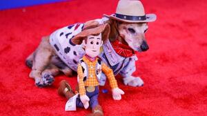Η Disney επιστρατεύει ήρωες του «Toy Story» για να χαρίσει χαμόγελα στα παιδικά νοσοκομεία