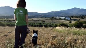 Θεσσαλονίκη: Σκύλοι ανιχνευτές δολωμάτων, ναρκωτικών και όπλων