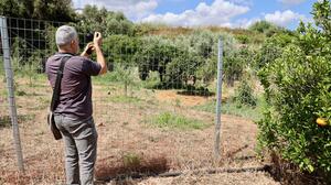 Σταυρούλα Λεβεντάκη: Μάλωσαν στο σπίτι, τη μαχαίρωσε και έθαψε το πτώμα στο λιόφυτό του - Δείτε εικόνες