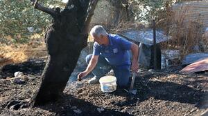 Λέσβος: Χωρίς ενεργό μέτωπο η φωτιά στο Πλωμάρι - Μάχη με τις αναζωπυρώσεις