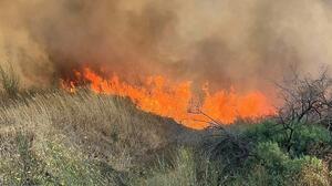 Χωρίς ενεργό μέτωπο οι πυρκαγιές σε Λάκκα Κάτσαρη Ασπροπύργου και Κάρυστο Ευβοίας - Έσβησε η φωτιά στο Κυπαρίσσι Αταλάντης