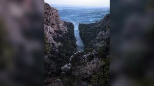 ΜΦΙΚ: «Το φοινικόδασος της Πρέβελης θα αναγεννηθεί» – Οι επιπτώσεις της φωτιάς στη φύση