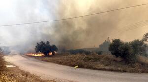 Σε πύρινο κλοιό τα Φίχτια Αργολίδας