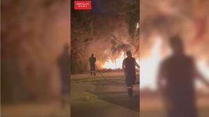 Ηράκλειο: Κινητοποιήθηκε η Πυροσβεστική για τη φωτιά στην παραλιακή λεωφόρο - Δείτε βίντεο
