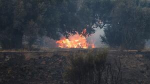 Φωτιά στο Ρέθυμνο: Σε κατάσταση έκτακτης ανάγκης ο Δήμος Αγίου Βασιλείου 