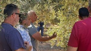 Από τη Λακωνία στα Αστερούσια για τα "μυστικά" της Κρητικής ελαιοπαραγωγής