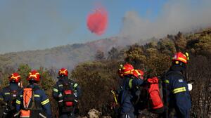 Φωτιά στην Οινόη Αττικής: 155 πυροσβέστες και 22 εναέρια μέσα στη μάχη - Ήχησε το 112, σε ισχύ κυκλοφοριακές ρυθμίσεις