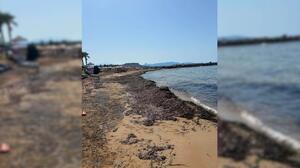 Γέμισε φύκια παραλία στου Κοκκίνη Χάνι