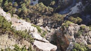 Τρίτη νύχτα αγωνίας στο νότιο Ρέθυμνο - Σε εξέλιξη η φωτιά που αναζωπυρώθηκε